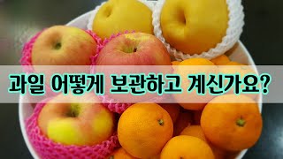 과일별 특성에 따른 보관법!