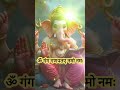 🙏माघी गणेश जयंती🙏। ॐश्रीगणेशायनम omgan_ganpataye_namo_namah youtubeshorts shortsvideo viral