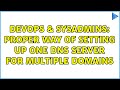 DevOps & SysAdmins: Proper way of setting up one DNS server for multiple domains (3 Solutions!!)