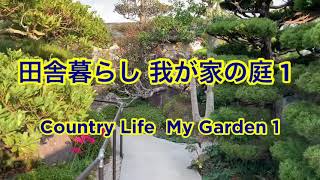 田舎暮らし 我が家の庭 1 Country Life My Garden 1