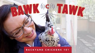 Medicated vs. Non-Medicated Feed for Baby Chicks - Bawk Tawk Podcast LIVE!