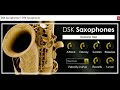 DSK Saxaphones by DSK Music  64 bit free vst plugins