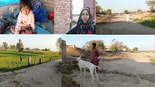 Itna mahanga kutta   Safla Village Vlogs