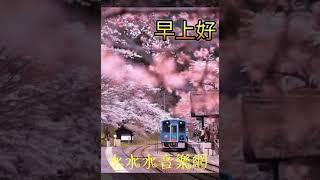 好友友👫早安美好❤ 歌曲【不變的情緣】🎵