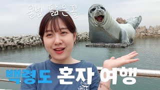 I met a seal that looked just like me - a trip to an island in Korea (1)