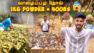 🍌வாழைப்பழ தோல் 1kg Powder 400rs😱 | Banana Peel Powder