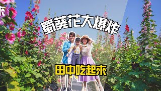 《田中吃起來》彰化田中一日遊，田中蜀葵花海也太美了吧！ (2個景點+4個美食)