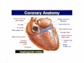 Basic Coronary Angiography  (part 1)