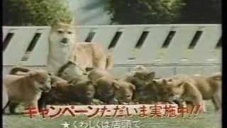 AGF ゲインズパックンCM　８０年代