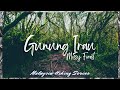 ⛰️#62 - GUNUNG IRAU via MOSSY FOREST | IRAU MOUNT | English Subtitle | MALAYSIA HIKING #22