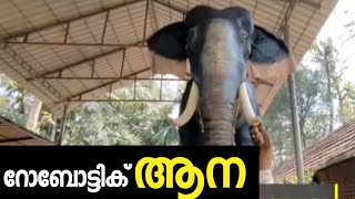 ഉത്സവപ്പറമ്പുകളില്‍ ഇനി റോബോട്ടിക് ആന | ഇരിഞ്ഞാടപ്പള്ളി രാമന്‍ | Robotic Elephant