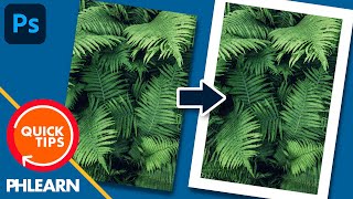 How to Add a Border to a Photo in Photoshop | Quick Tips!