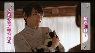 ドラマ『ねこ物件』最終話予告