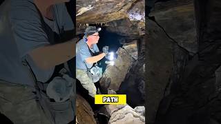 300-Million-Year-Old Fossilized Tree Discovered in Hidden Tunnel! | Rare Geological Find #shorts