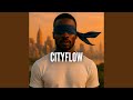 Cityflow