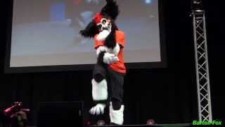 Anthrocon 2013 - Dance Competition - Flinch