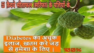 5 benefits of custard apple leaves||sitafal ke patte ke fayde||5 फ़ैदये सीताफल (सरिफा) के पत्तियों के