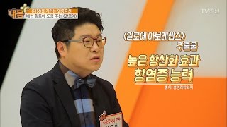 배변 활동에 도움 주는 알로에의 효능! [내 몸 플러스] 52회 20170402