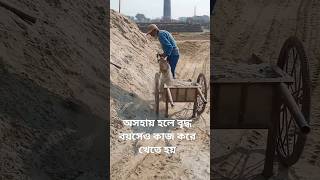 #shorts অসহায় মানুষের বৃদ্ধ বয়সেও কাজ করে খেতে হয় #viral