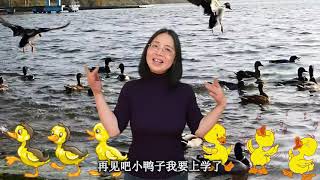 Ducklings 小鸭子