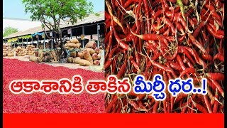 Teja Red Chilli Price Increased To All Time Record  | #SunriseShow | MAHAA NEWS