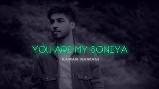 You Are My Soniya | Karan Nawani | R3ZR | K3G | Sonu Nigam, Alka Yagnik