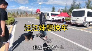 自驾游偶遇稀奇电动四驱越野滑板车，两块钱充电八十公里续航【汪汪妹流浪记】