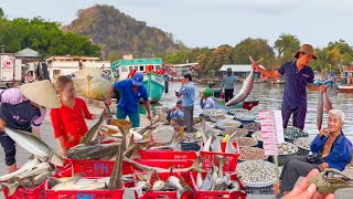 Ba Hòn Kiên Giang Trung Tâm Hải Sản Giá Rẻ║Vui Buồn Tiếng Tu Hú Kiêu