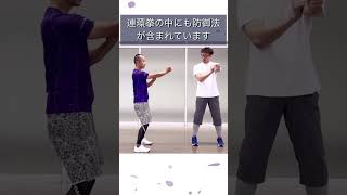 詠春拳絶対防御【連環拳】実は〇〇