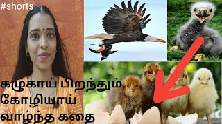 #shorts| தடையின்றி உயர பறந்து செல்| motivation| Tharcharbu vazhkai