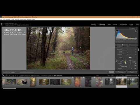 Adobe Lightroom Adjustment Brush Adobe Lightroom Adjustment Brush