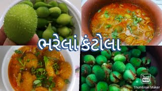 ભરેલા કંટોલાનું શાક.