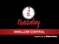 Swallow Bird Control [Expert Recommendations] Bird B Gone