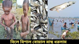 বিলে বাউৎ উৎসবে বিশাল বোয়াল মাছ ধরলাম | #fishing