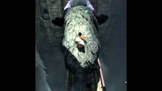 Confronting The Trico Last Guardian #lastguardian #gaming #gamingshorts