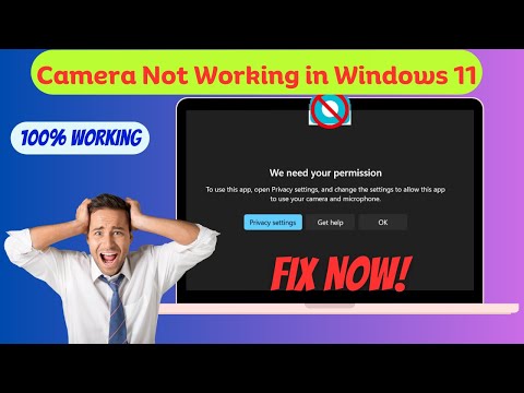 Fix Camera Not Working in Windows 11 (We Can't Find Your Camera Error)