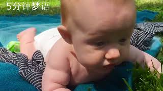 搞笑合集：人类幼崽和汪星人，小宝宝和狗狗的搞笑时刻 爆笑瞬间