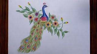 Easy peacock drawing step by step with pencil colour