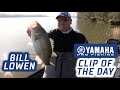 Yamaha Clip of the Day - Bill Lowen's special shallow pattern