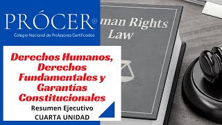 4. Derechos Humanos, Derechos Fundamentales y Garantías Constitucionales-Resumen Ejecutivo