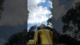 Important buddha quote 🙏🏽 #buddha #buddhaquotes #quotes #buddhism #meditation #buddhist #buddhastory