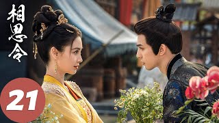 ENG SUB【相思令 Everlasting Longing】EP21 绮罗改造武器夺回家产（杨颖、宋威龙）