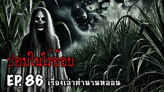 เล่าเรื่องผีตอนตีสอง EP.86 | ปอบในไร่อ้อย