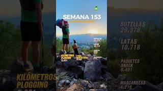 Reporte navidad #sambombazoproject #plogging #hiking #trailrunning #bordercollie