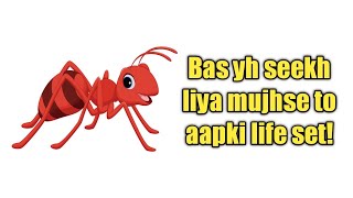 6 जीवन सीख जो हमें एक चींटी से सीखनी चाहिए | 6 most important life lessons to learn from an ant |