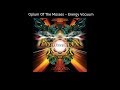 Space Buddha - Steam Phase | Psytrance