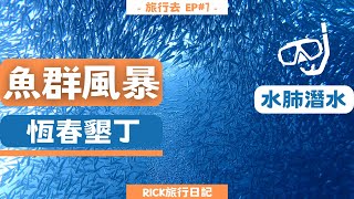 墾丁潛水去Vlog，一來就看到沙丁魚群風暴，直接人品爆發，不用出國也可以好好欣賞魚群風暴的美。