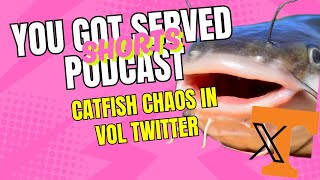 Shorts: Catfish Chaos In Vol Twitter: A Deep Dive into Deception