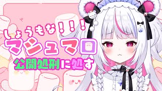 【雑談】しょ～もないマシュマロ公開処刑！（ありがとう）【白熊りん /#クマったライブ】