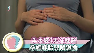 《羊水破3天沒有就醫 孕媽咪胎兒險送命》【育兒幫寶典】《孕媽新知》│寶貝幫TV